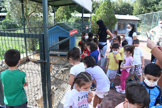 Konyaaltı Belediyesi, minik hayvanseverleri ağırladı