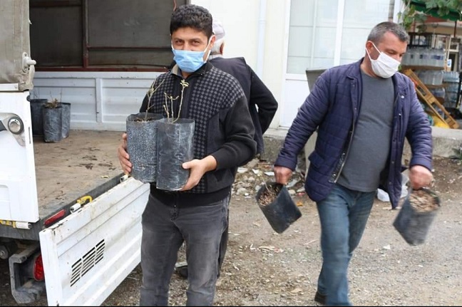 İbradı’da kestane fidesi dağıtımı yapıldı