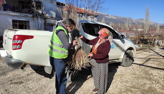 1 milyon adet orman ağacı fidanı toprakla buluşacak