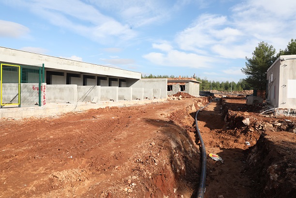 Minik dostlara büyük yuva