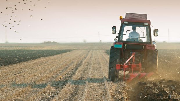 Tarımda üretici fiyatları 2021’de yüzde 36,3 arttı