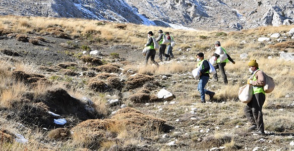 Hayvanlar için 1200 dekara gübre
