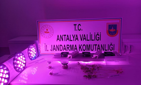 Kumluca’daki uyuşturucu operasyonunda 1 şüpheli gözaltına alındı