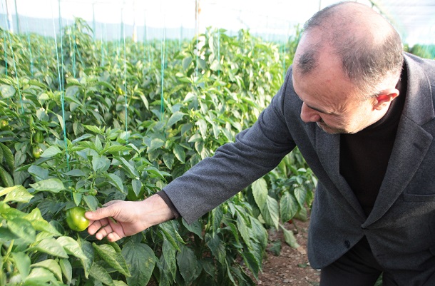 Rusya’ya sebze meyve ihracatında nakliye sorununa çözüm aranıyor