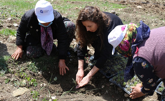 Önce eğitim aldılar, sonra dikim yaptılar