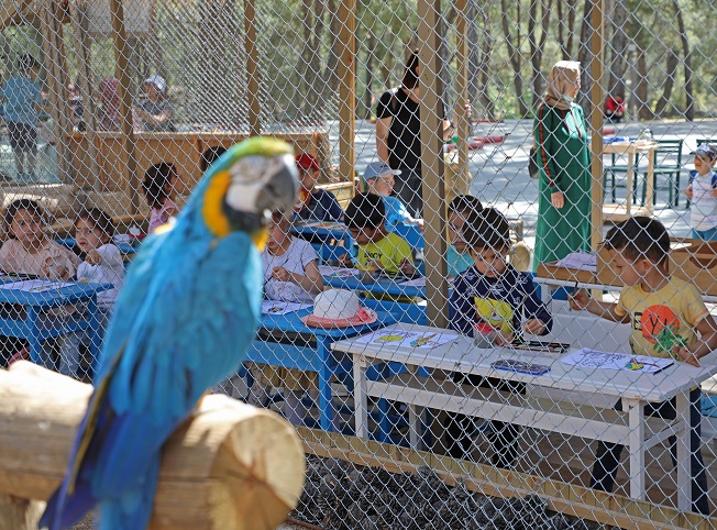 Antalya Hayvanat Bahçesi’nde minik öğrenciler için renkli etkinlik
