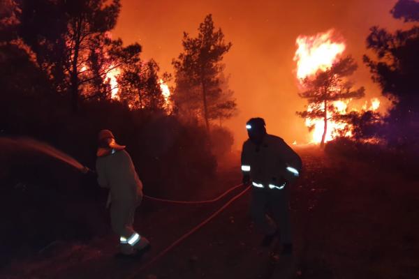Marmaris’teki orman yangınına müdahale sürüyor