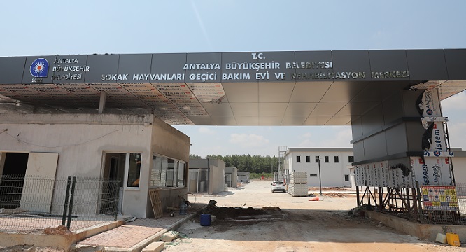 Sokak Hayvanları Geçici Bakım Evi ve Rehabilitasyon Merkezi inşaatı tamamlandı