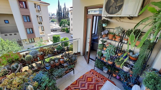 Antalya’nın en güzel balkon bahçe ve terasları belirlendi