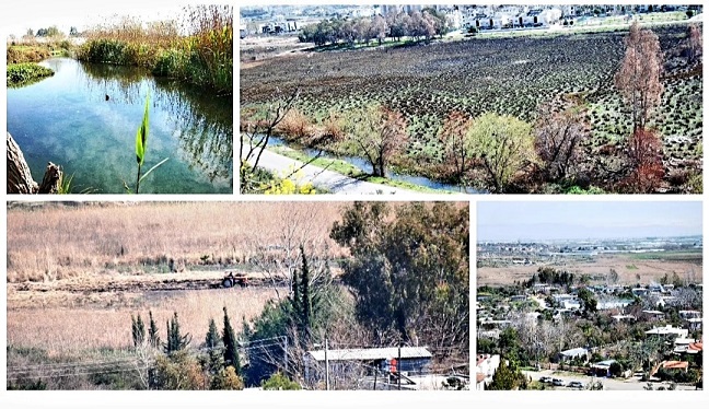 Yamansaz Yargıdan Döndü