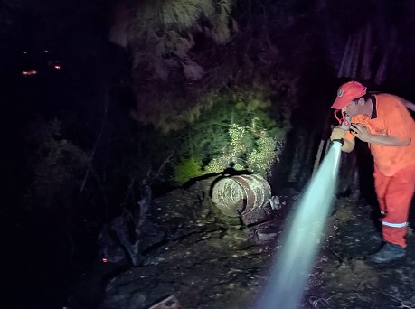 Serik’te çıkan orman yangını söndürüldü
