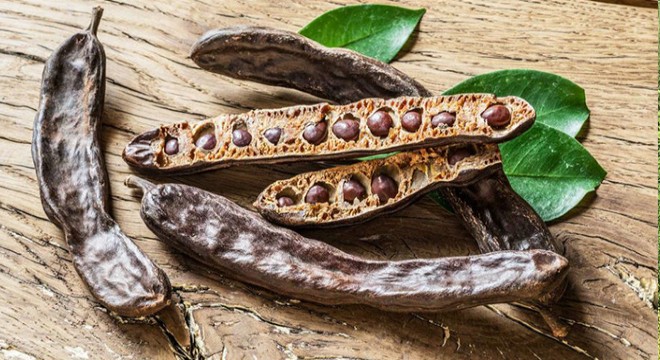 Demre’de keçiboynuzu hırsızlığı şüphelisi 4 kişi yakalandı