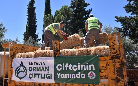 Kepez Belediyesi, yine çiftçinin yüzünü güldürdü