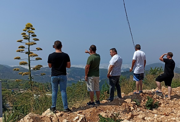 Antalya’da 30 yıl önce süs için dikilen Agave bitkisi çiçek açtı