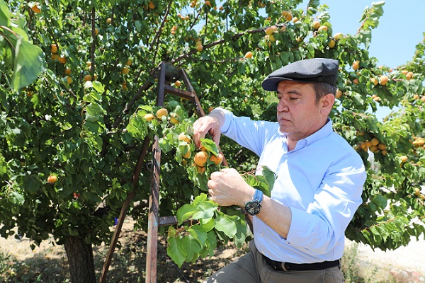 Başkan Böcek, çiftçi kartı projesini tanıtacak