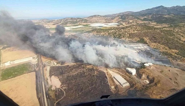 İzmir Bergama’da çıkan orman yangınına müdahale ediliyor