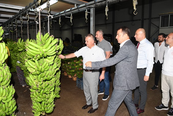 Vali Yazıcı, Antalya Tarımsal Altyapıya Sahip