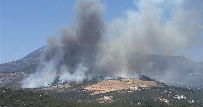 Alanya’da orman yangını çıktı