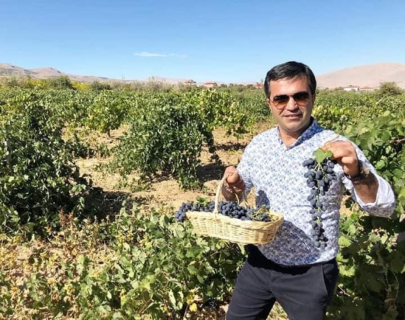 Elmalı’nın tilki kuyruğu üzümü, “Nuh’un Ambarı” aday listesinde