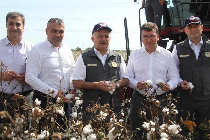 Vali Yazıcı, Serik ilçesinde pamuk hasadına katıldı