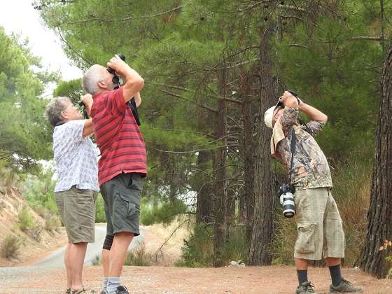 Akseki’de İngiliz turistler kuş gözlemi yaptı