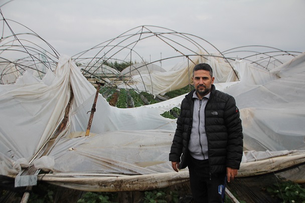 Serik’te hortumdan zarar gören seralarda hasar tespiti yapıldı
