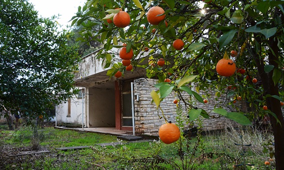Antalya Kent Konseyi ANPİL için bütüncül koruma istedi