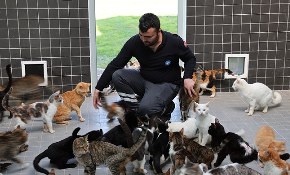 Can dostlar yeni yuvalarına kavuştu