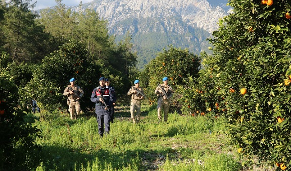 Jandarma Ekipleri Narenciye Hırsızlarına Karşı Nöbette