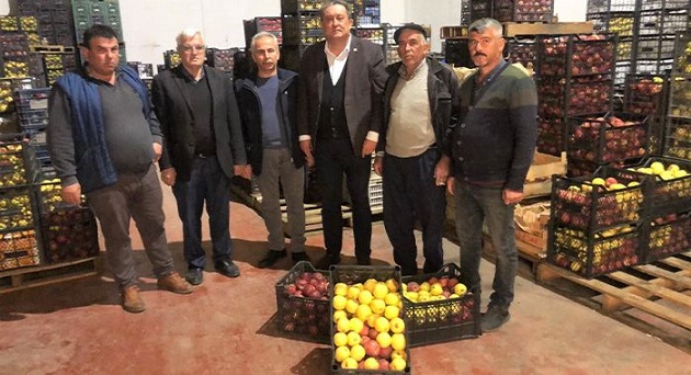 CHP’li Özer: Elmanın İhracatı Ve Devlet Desteği Şart