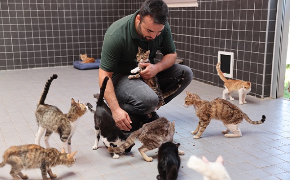 Can dostlar yeni yuvalarında mutlu