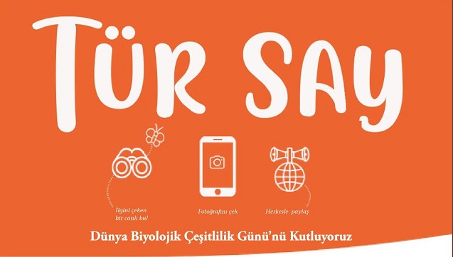 Antalya’da ilk Tür Say etkinliği düzenleniyor