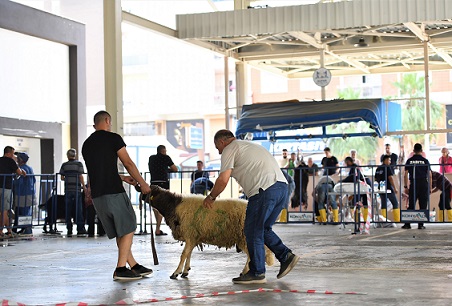 Konyaaltı’ndan Üç Noktada Ücretsiz Kurban Kesimi