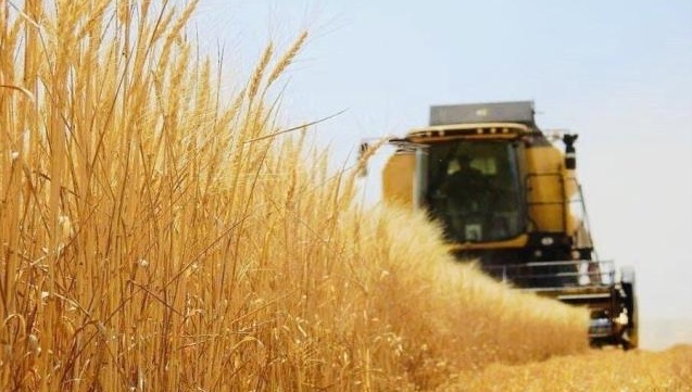 Tarım ürünleri üretici fiyat endeksi yüzde 61, 24 arttı