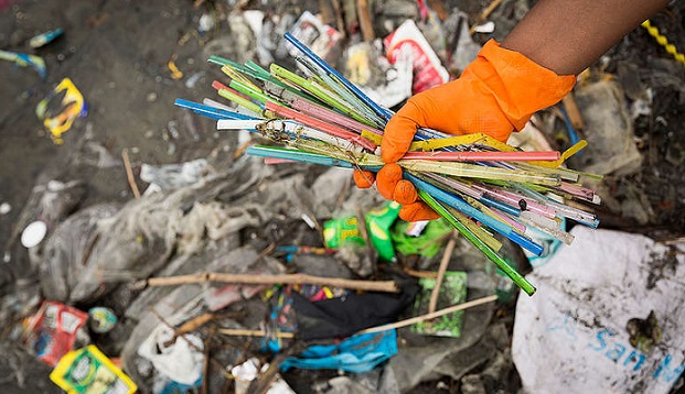 Sahillerde Tek Kullanımlık Plastikler ve Sigara Kullanımının Yasaklanması ve Alternatif Çözümler