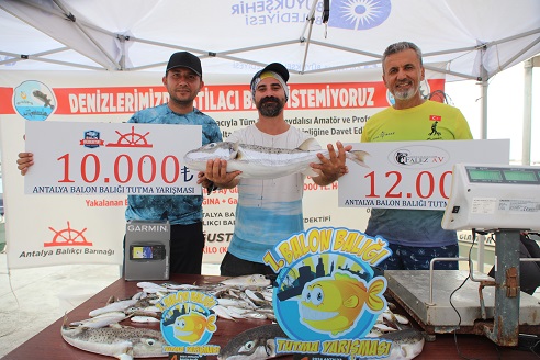 Antalya’da İstilacı balon balığını yakalamak için yarıştılar