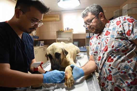 Kepez’den can dosta sıcacık dokunuş