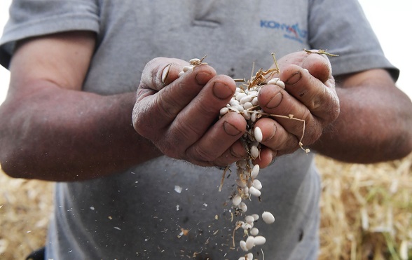 Konyaaltı Yarbaşçandır’da Yayla Şenliği Düzenleyecek