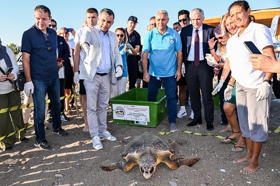 Deniz Kaplumbağaları Doğaya Kavuştu