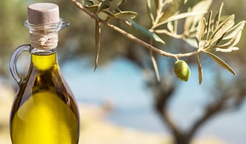 Türkiye, 200 bin ton zeytinyağı, 100 bin ton sofralık zeytin ihracat hedefiyle yeni sezona girdi