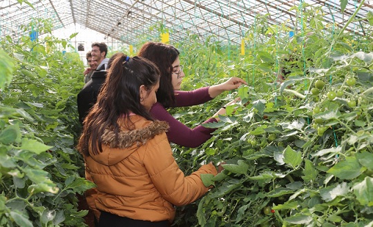 A-Ü öğrencilerinin 207 projesi TÜBİTAK tarafından desteklenecek