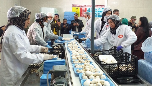 Mantarın merkezi Korkuteli’ne yolculuk