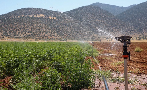 Beğiş’te tarım arıtma suyuyla yeşerdi