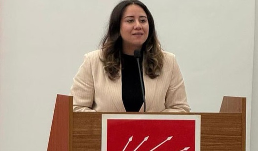 Ayça Çağlar: “Kadına Şiddet Mücadelesinde Partiler Üstü Dayanışma Şart”