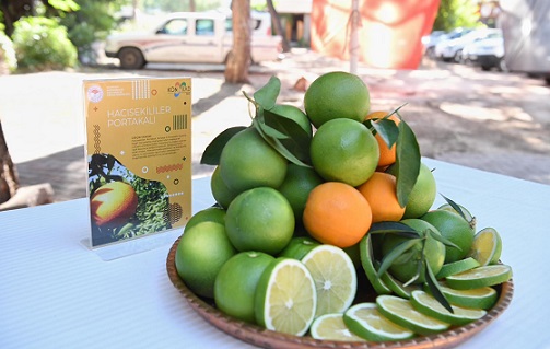 Konyaaltı’nda Coğrafi İşaretli Ürünler Tanıtıldı