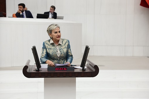 Milletvekili Nimet Özdemir, Devlet Hastanelerindeki Kalitesiz Kateter İddialarını Meclis Gündemine Taşıdı