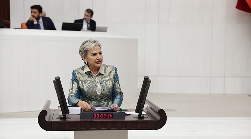 CHP’li Özdemir, Emeklilerin Artan Sağlık Yükünü Meclis Gündemine Taşıdı