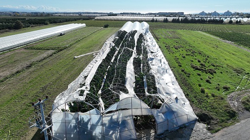 Antalya Büyükşehir Belediyesi seraları zarar gören çiftçinin yanında