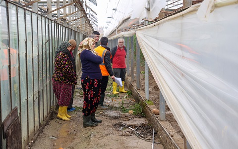 Antalya Büyükşehir Belediyesi Aksulu çiftçilerin yanında