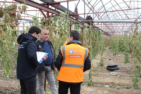 Antalya Finike’de hortumdan zarar gören seralarda hasar tespiti başladı